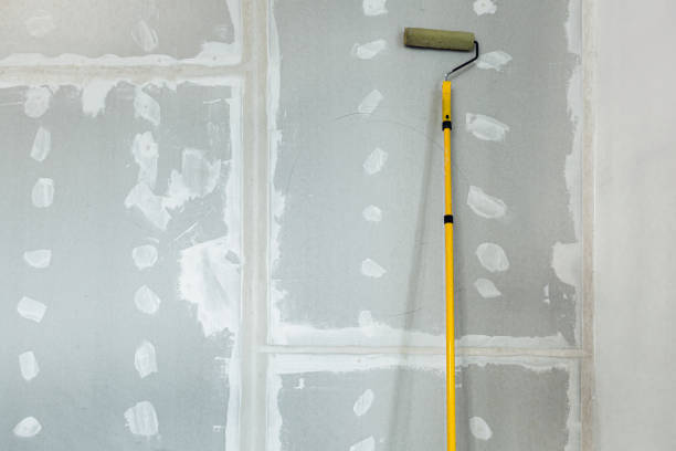 Best Water-Damaged Drywall Repair  in Stockbridge, MI